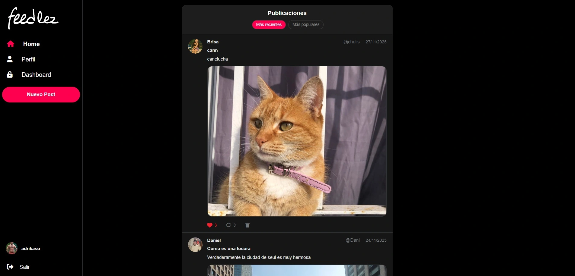 FeedLez